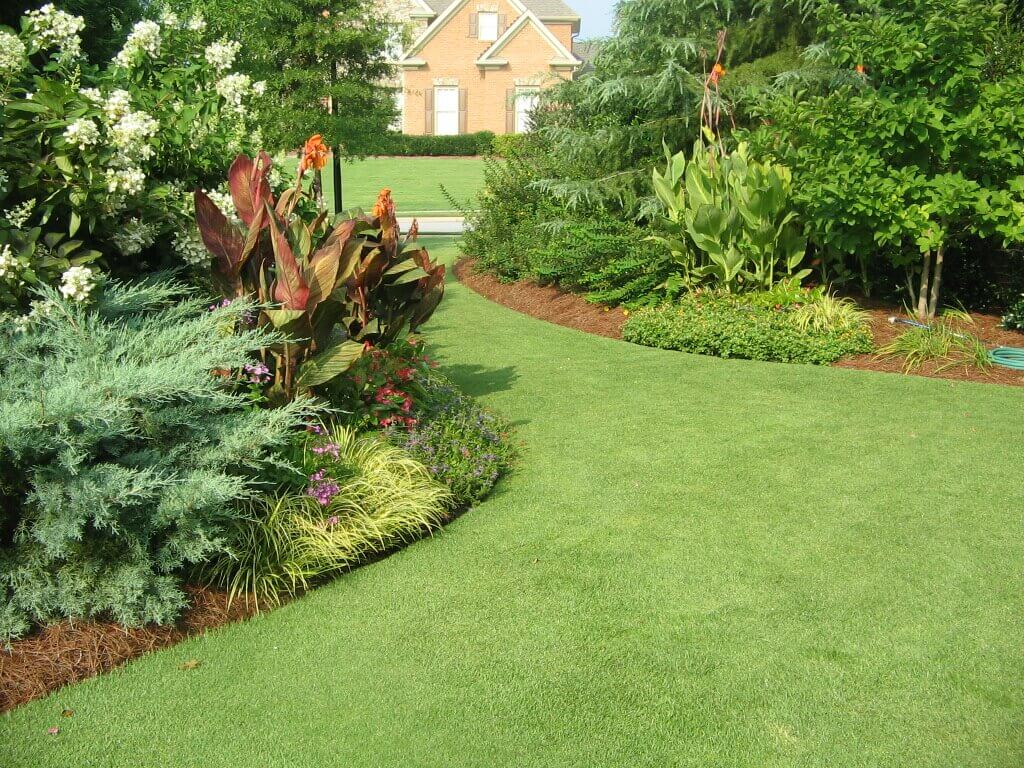 Simply_Green_-_Homepage_Image