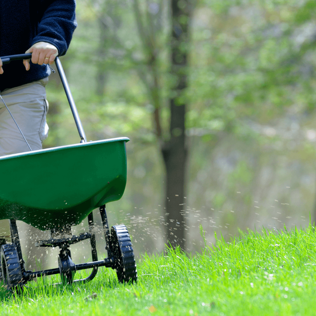 Lawn Fertilizer Tips Simply Green