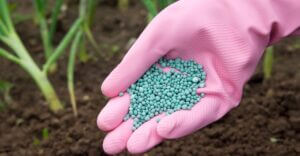 hand holding fertilizer