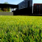 Complete Guide to Fertilizers and Weed Control