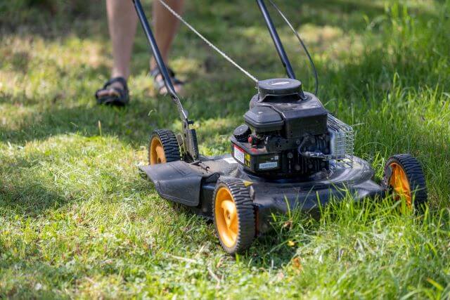 weekly-mowing-healthy-lawn