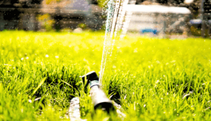 Implementing Water-Saving Strategies