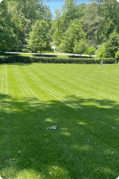 Simply-Green-Care-Plus-Customer-Lawn