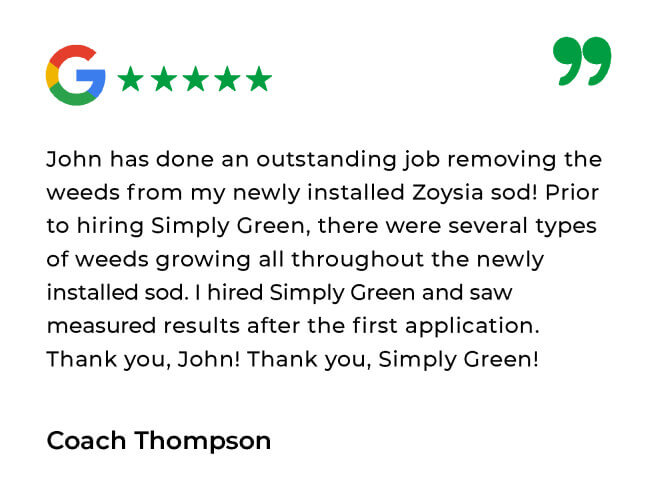 Simply Green Testimonials_Simply Green Google Review 17