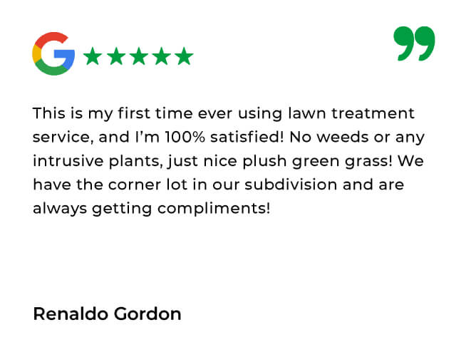 Simply Green Testimonials_Simply Green Google Review 6