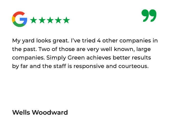 Simply Green Testimonials_Simply Green Google Review 7