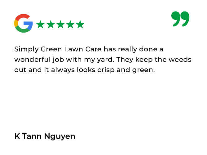 Simply Green Testimonials_Simply Green Google Review 8
