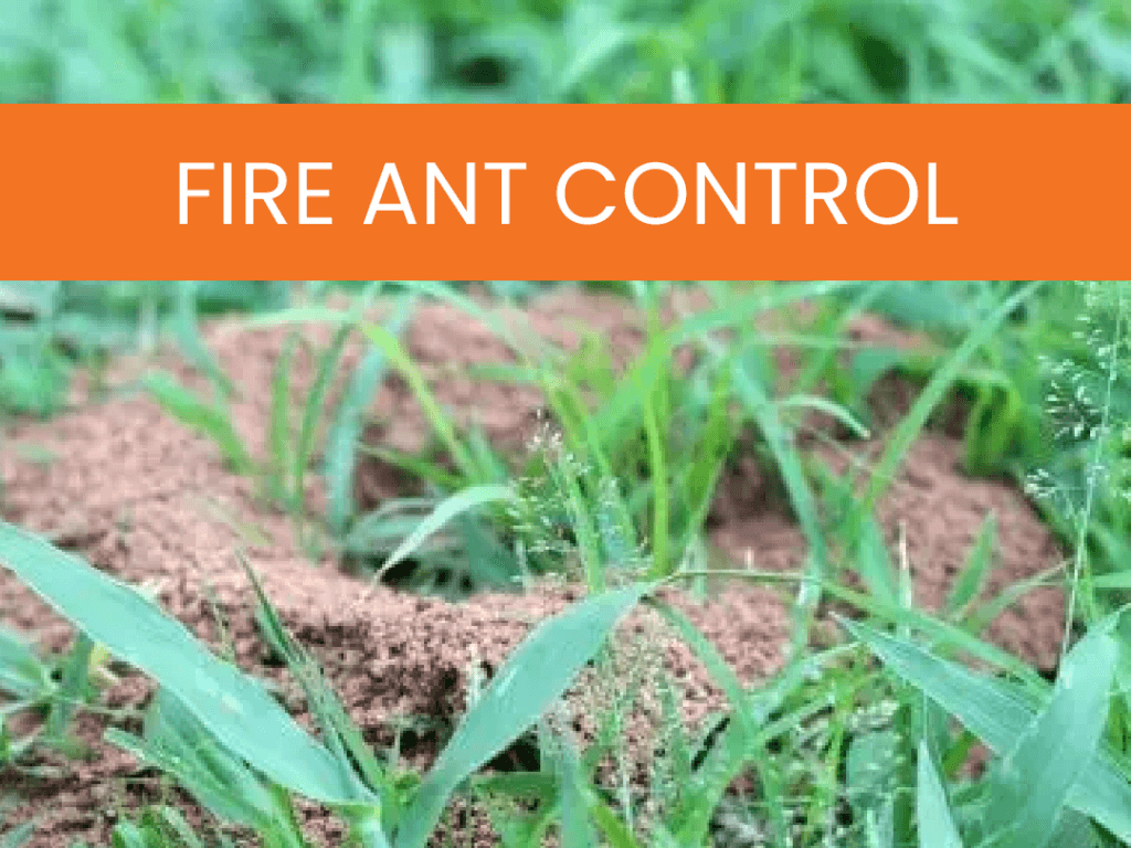 Lawn Care & Weed Control In Atlanta GA | Simply Green Lawn Care