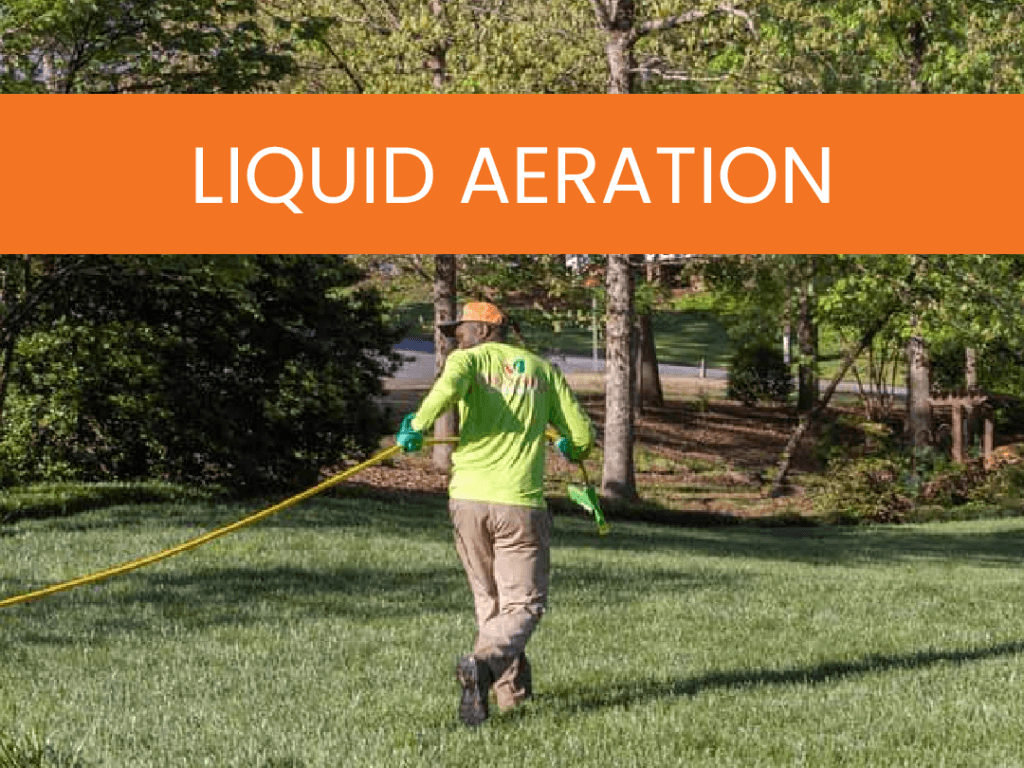 Lawn Care & Weed Control In Atlanta GA | Simply Green Lawn Care