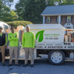 Benefits of Professional Lawn Care Services