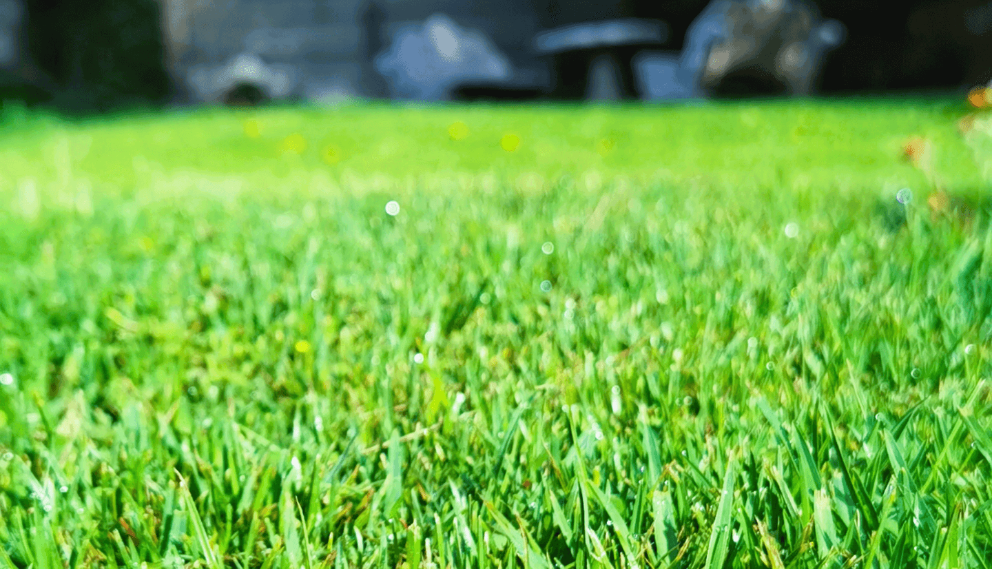 local-lawn-care-regulations-simply-green-atlanta-ga