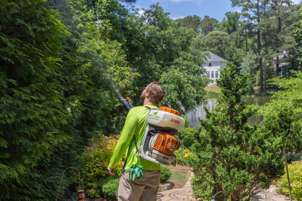 Lawn Care & Weed Control In Atlanta GA | Simply Green Lawn Care