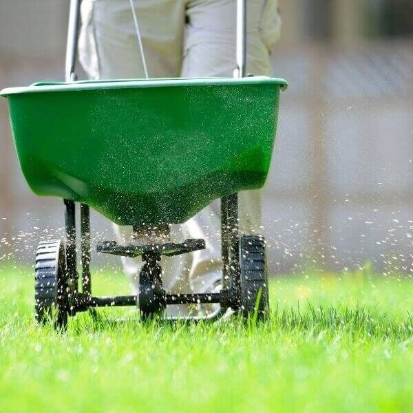 An image of someone fertalizing grass.