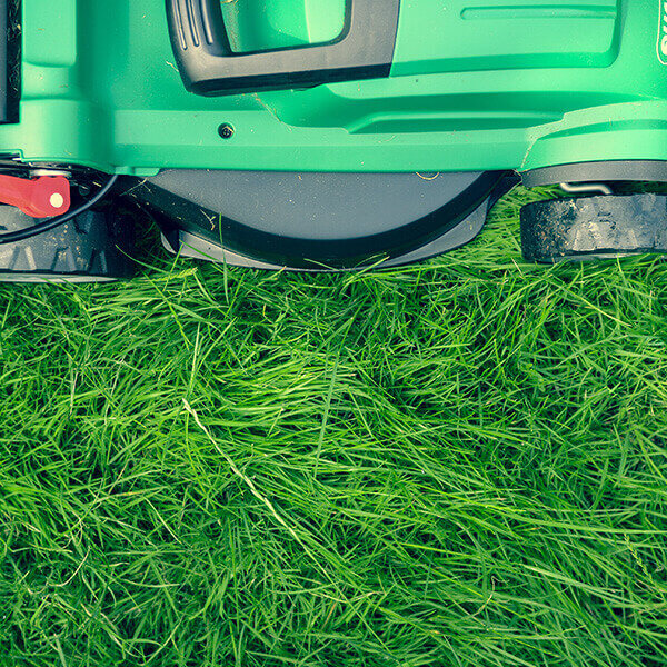 Mower cutting grass